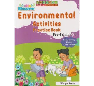 Queenex Blossom Environmental Activities Practice Pre-primary 1