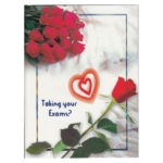 A5 Slim success card