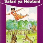 Safari Ya Ndotoni